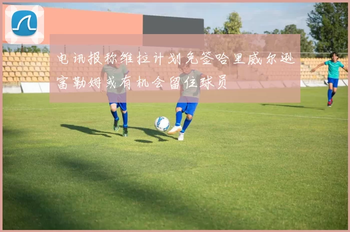 电讯报称维拉计划免签哈里威尔逊富勒姆或有机会留住球员