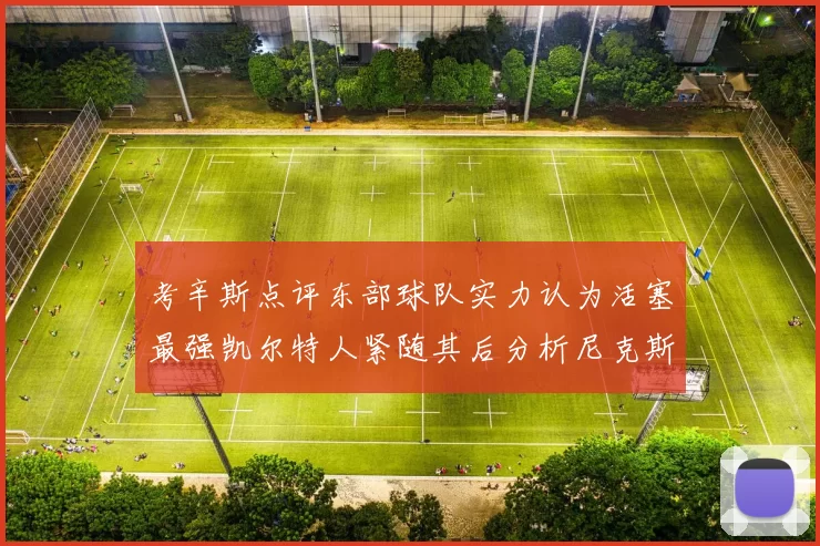 考辛斯点评东部球队实力认为活塞最强凯尔特人紧随其后分析尼克斯不足之处